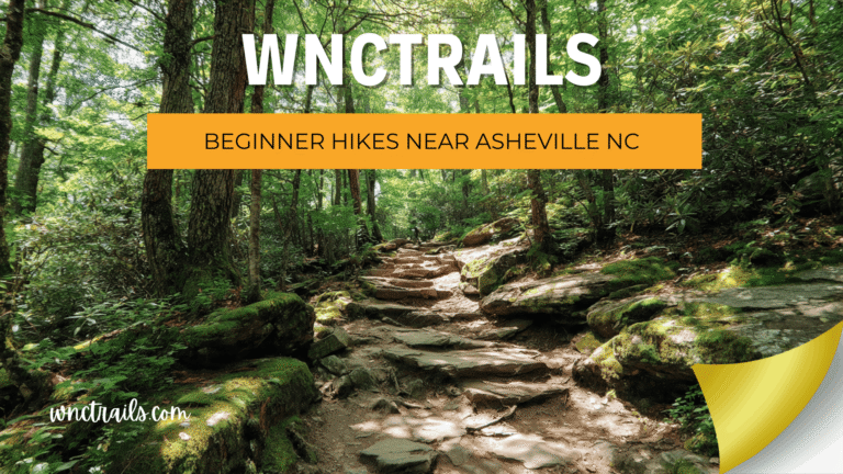 Beginner Hikes Near Asheville NC: Your First Trail, Perfectly Matched 