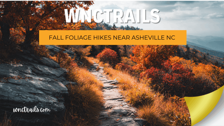 Fall Foliage Hikes Near Asheville Nc 