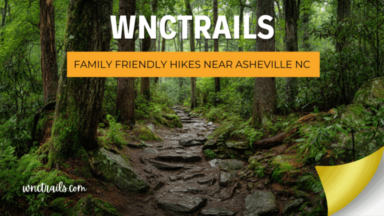 Family Friendly Hikes Near Asheville NC: Trails That Work for Everyone in the Group