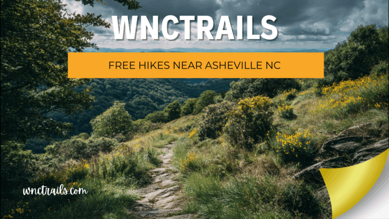 Free Hikes Near Asheville NC: No Fees, Big Views, Zero Surprises 