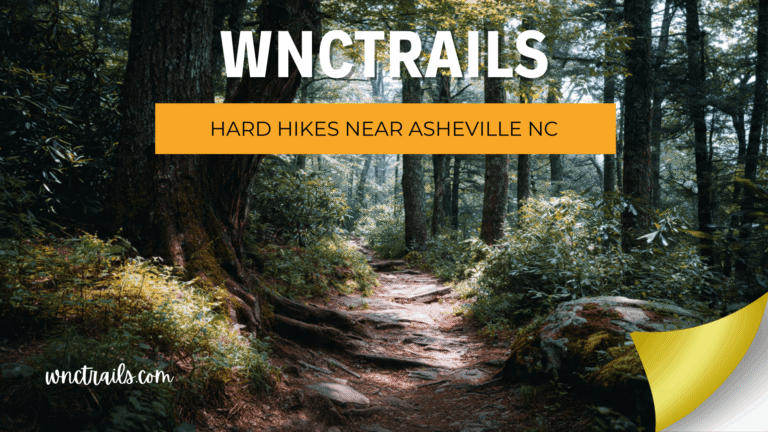 Hard Hikes Near Asheville NC: Strenuous Routes That Earn Their Rating 