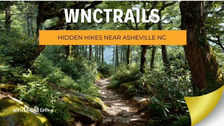 Hidden Hikes Near Asheville NC: Local Secrets the Big Apps Haven’t Found 