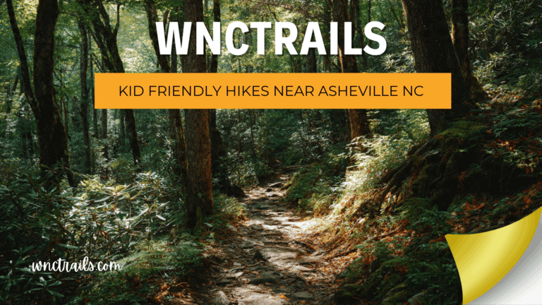 Kid-Friendly Hikes Near Asheville NC: Trails the Whole Family Will Actually Enjoy 