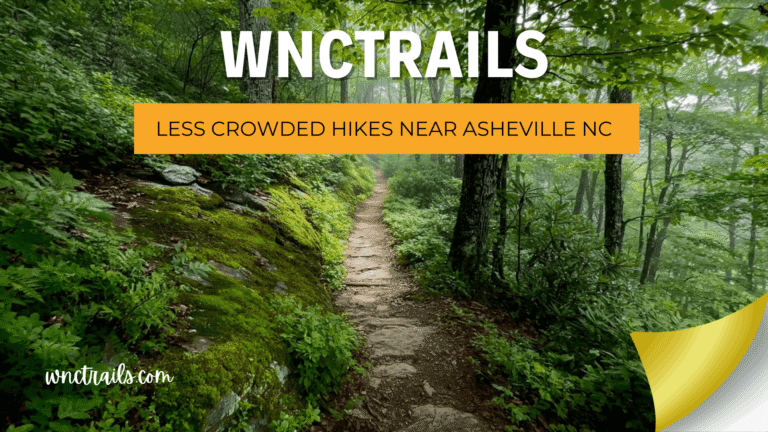 Less Crowded Hikes Near Asheville NC: Quiet Trails Worth the Extra Research 