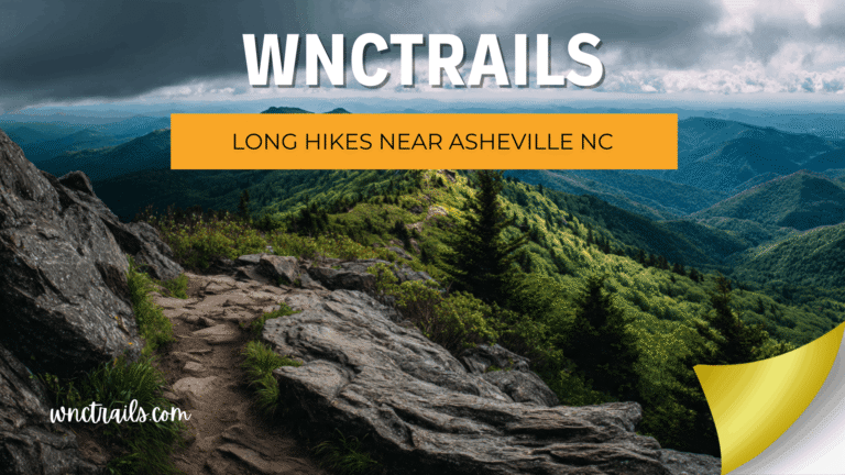 Long Hikes Near Asheville NC: Full-Day Routes Worth Every Mile 