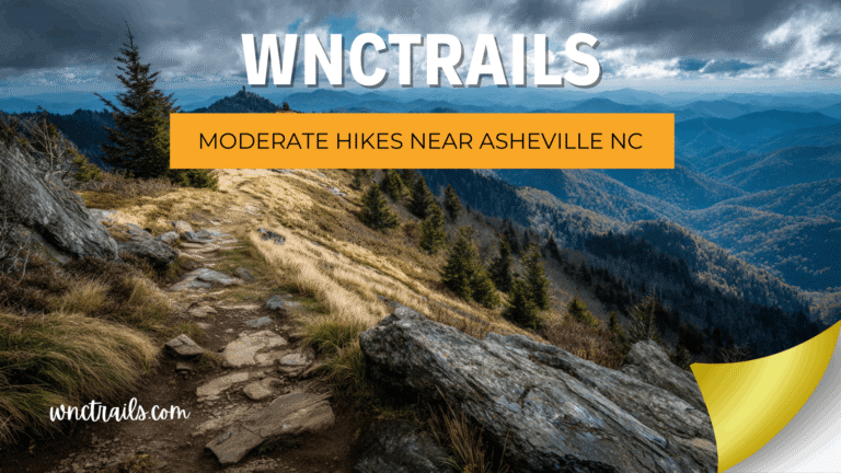 Moderate Hikes Near Asheville NC: Step Up Your Trail Game Safely 