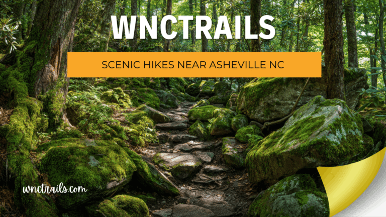 Scenic Hikes Near Asheville Nc 