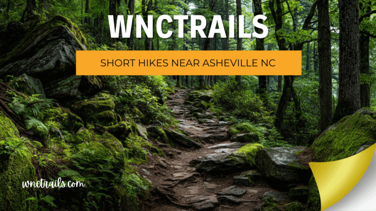 Short Hikes Near Asheville NC: Big Views in Under 3 Miles 