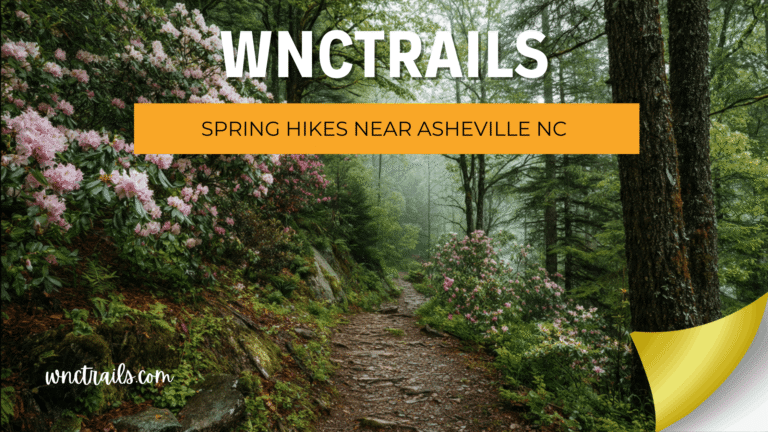 Spring Hikes Near Asheville Nc 