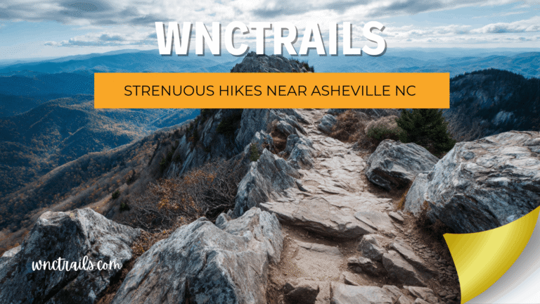 Strenuous Hikes Near Asheville NC: Push Your Limits on Verified Routes 