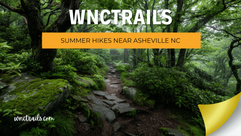 Summer Hikes Near Asheville Nc 