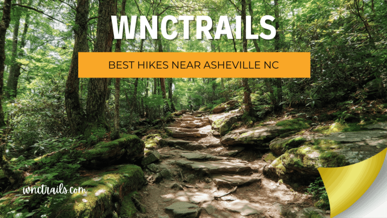 Best Hikes Near Asheville NC: Locally Verified Trails for Every Level 
