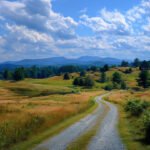 Moses H Cone Carriage Trails NC – Easy Family Friendly Hikes Near Blowing Rock 