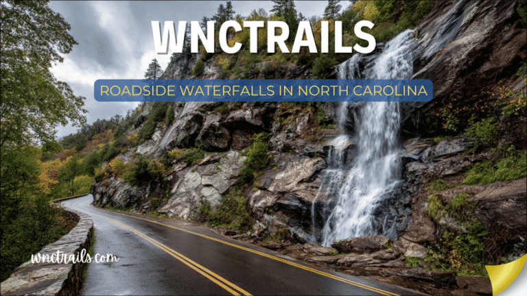 Roadside Waterfalls In North Carolina