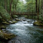 Deep Creek NC – Family Friendly Waterfall Hikes Near Bryson City 