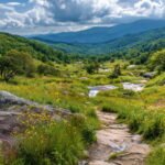 Graveyard Fields NC – Waterfalls and Scenic Hike on the Blue Ridge Parkway 