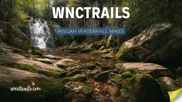 Pisgah Waterfall Hikes