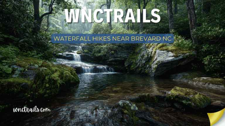 Waterfall Hikes Near Brevard Nc
